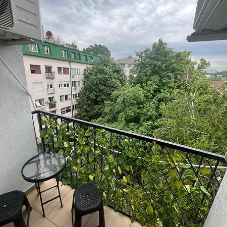 Pavlovic Apartman ベオグラード エクステリア 写真