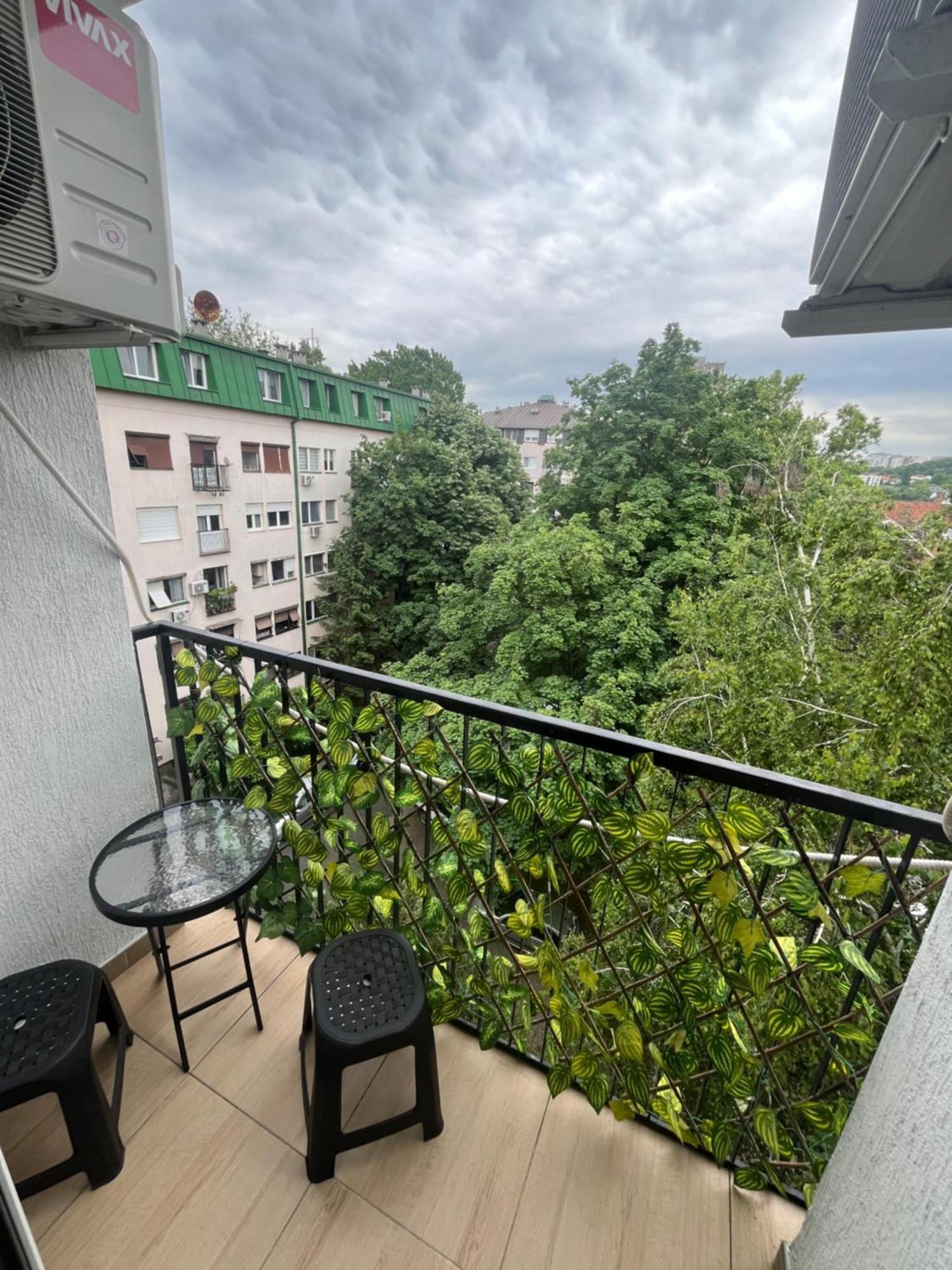 Pavlovic Apartman ベオグラード エクステリア 写真