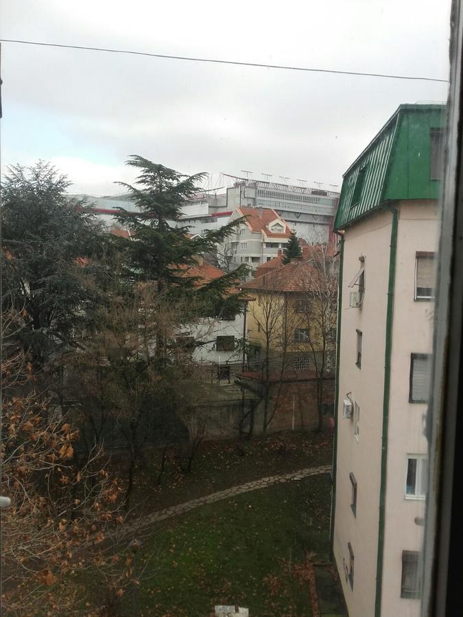 Pavlovic Apartman ベオグラード エクステリア 写真