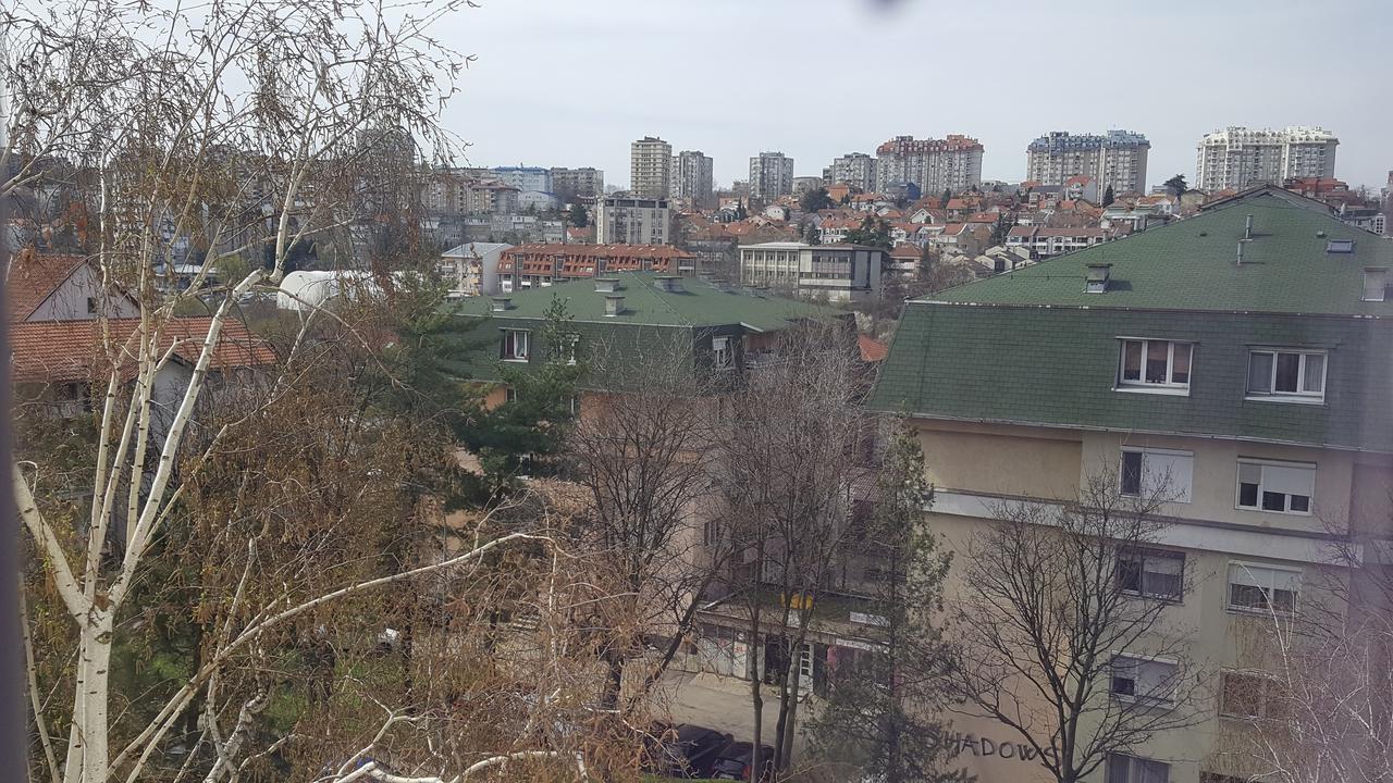 Pavlovic Apartman ベオグラード エクステリア 写真